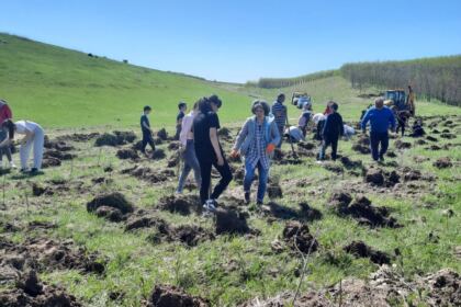 Campanie de împădurire la Mănăstirea Cârlomănești din județul Galați – fotografia 12