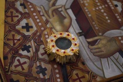 Sfântul Ierarh Nectarie i-a binecuvântat pe elevii seminarişti şi pe bolnavii din Spitalul Judeţean „Sf. Ap. Andrei“ din Galaţi – fotografia 9
