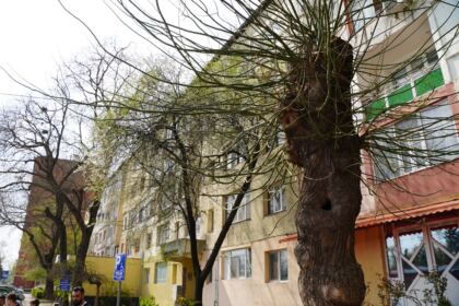 Programul eparhial „Ne înnoim de Sfintele Paşti“ a fost implementat cu succes şi în Protopopiatul Tecuci – fotografia 40