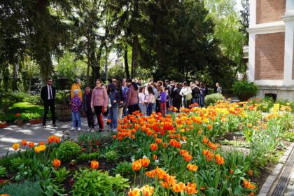 Grupuri de elevi şi studenţi au vizitat Centrul Eparhial – fotografia 20