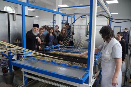 Grupuri de elevi şi studenţi au vizitat Centrul Eparhial – fotografia 53
