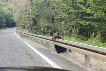 Tabăra de vară „Credință, Sport și Comuniune“ în localitatea Vameş – fotografia 17