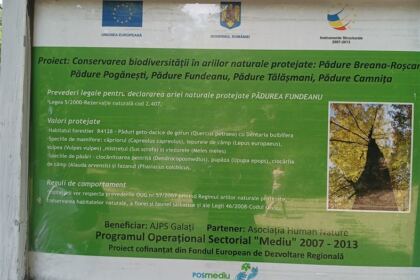 Activităţi de vară pentru copiii din satele Fundeanu şi Nicopole – fotografia 15