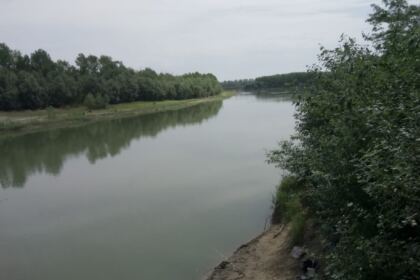 Excursie pentru 50 de copii la Mănăstirea Măxineni – fotografia 7