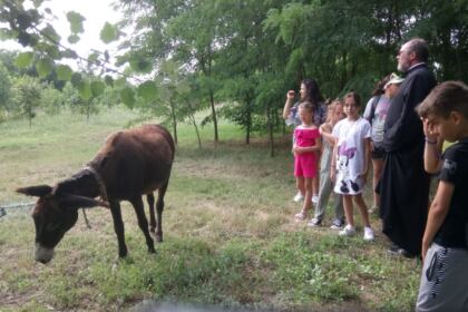 Excursie pentru 50 de copii la Mănăstirea Măxineni – fotografia 12