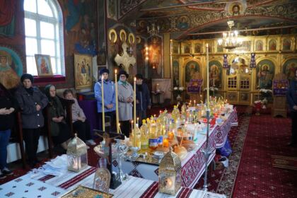 Caravană medicală în localităţile Albina şi Căldăruşa din judeţul Brăila – fotografia 11
