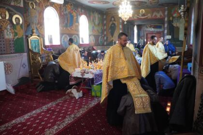 Caravană medicală în localităţile Albina şi Căldăruşa din judeţul Brăila – fotografia 26