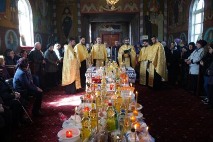Caravană medicală în localităţile Albina şi Căldăruşa din judeţul Brăila – fotografia 28