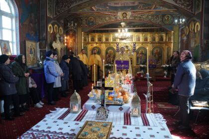 Caravană medicală în localităţile Albina şi Căldăruşa din judeţul Brăila – fotografia 30