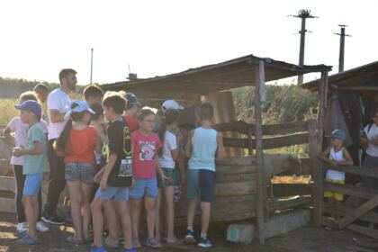 Activităţi pentru copiii din localitatea Tudor Vladimirescu – fotografia 8