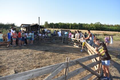 Activităţi pentru copiii din localitatea Tudor Vladimirescu – fotografia 9