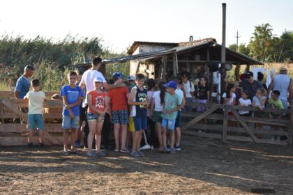 Activităţi pentru copiii din localitatea Tudor Vladimirescu – fotografia 10