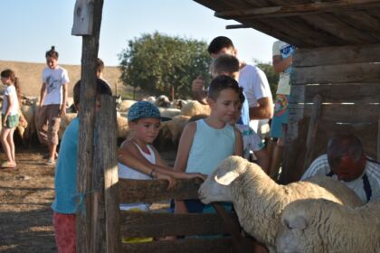 Activităţi pentru copiii din localitatea Tudor Vladimirescu – fotografia 11