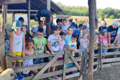Activităţi pentru copiii din localitatea Tudor Vladimirescu – fotografia 29