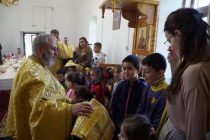 Caravană medicală în localităţile Sihleanu şi Pitulaţi din judeţul Brăila – fotografia 17