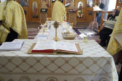 Caravană medicală în localităţile Sihleanu şi Pitulaţi din judeţul Brăila – fotografia 30