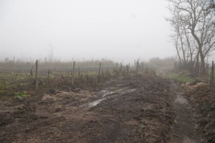Daruri de sfintele sărbători pentru familiile sinistrate din judeţul Galaţi – fotografia 36