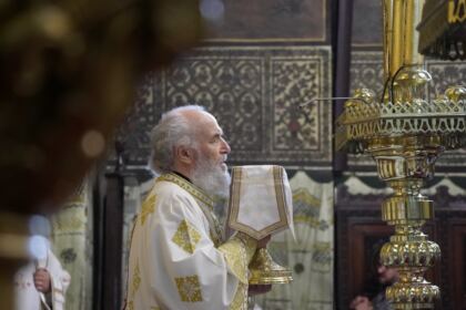 Rugăciune, comuniune şi manifestare a iubirii fraterne în Arhiepiscopia Dunării de Jos – fotografia 16