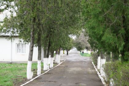 Acţiune social-filantropică pentru semenii cu nevoi speciale din judeţul Brăila – fotografia 38