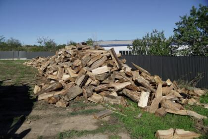 Lemne de fag oferite sinistraţilor din judeţul Galaţi – fotografia 1