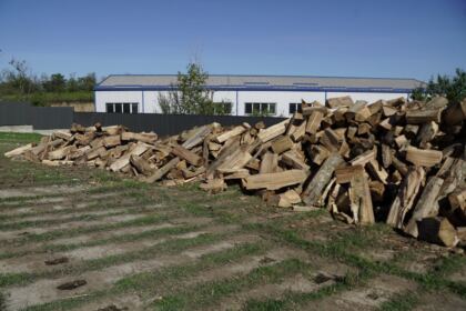 Lemne de fag oferite sinistraţilor din judeţul Galaţi – fotografia 3