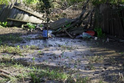 Lemne de fag oferite sinistraţilor din judeţul Galaţi – fotografia 33