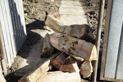 Lemne de fag oferite sinistraţilor din judeţul Galaţi – fotografia 61
