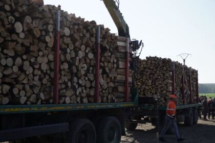 Noi transporturi cu lemne de fag pentru sinistraţi – fotografia 1