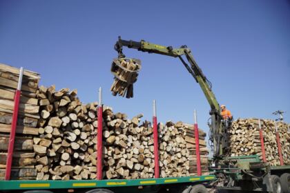 Noi transporturi cu lemne de fag pentru sinistraţi – fotografia 11