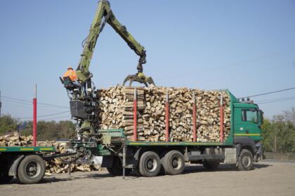 Noi transporturi cu lemne de fag pentru sinistraţi – fotografia 16