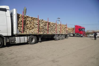Noi transporturi cu lemne de fag pentru sinistraţi – fotografia 17