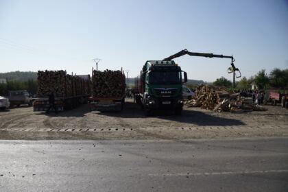 Noi transporturi cu lemne de fag pentru sinistraţi – fotografia 18