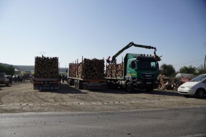 Noi transporturi cu lemne de fag pentru sinistraţi – fotografia 19