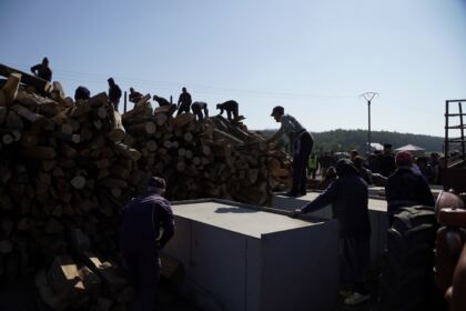 Noi transporturi cu lemne de fag pentru sinistraţi – fotografia 29