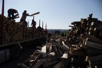 Noi transporturi cu lemne de fag pentru sinistraţi – fotografia 38