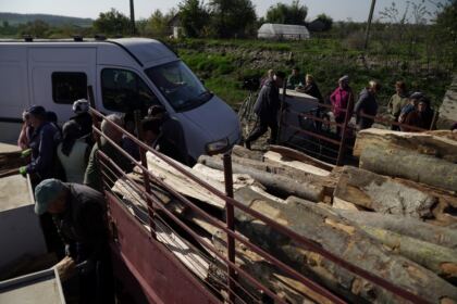 Noi transporturi cu lemne de fag pentru sinistraţi – fotografia 47