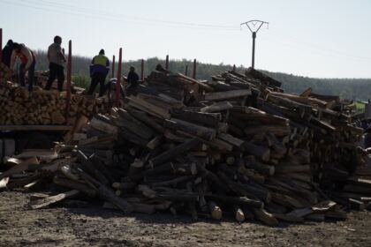 Noi transporturi cu lemne de fag pentru sinistraţi – fotografia 50