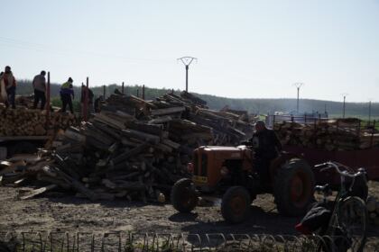 Noi transporturi cu lemne de fag pentru sinistraţi – fotografia 51