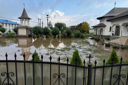 Comunicat de presă – fotografia 4