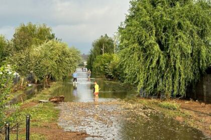 Comunicat de presă – fotografia 6