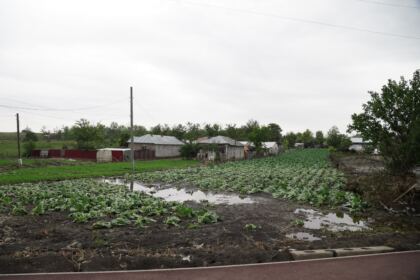Solidaritate creştină susţinută constant pentru ajutorarea sinistraţilor – fotografia 63