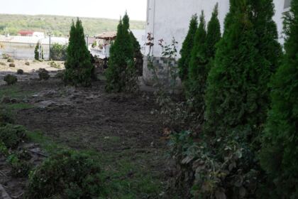 Programe şi acţiuni susţinute cu mare implicare de Biserică pentru ajutorarea sinistraţilor – fotografia 2