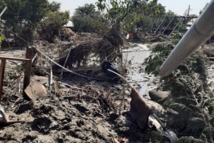 Programe şi acţiuni susţinute cu mare implicare de Biserică pentru ajutorarea sinistraţilor – fotografia 17