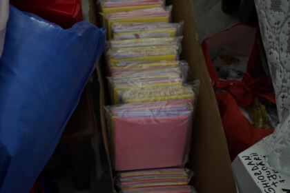 Episcopia Tulcii solidară cu sinitraţii din Câmpia Covurluiului – fotografia 62