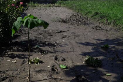 Sprijinul Bisericii continuă zilnic în zona sinistrată – fotografia 45