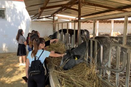 Copiii, casnici în grădina Maicii Domnului de la Mănăstirea Vladimirești – fotografia 9