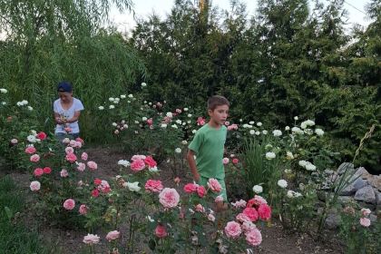 Activităţi de vară pentru copiii din Parohia Brăhășești II – fotografia 7