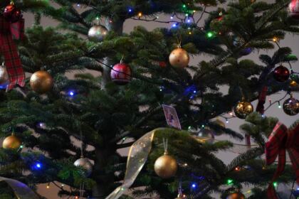 Zi de sărbătoare la Galaţi, în prima zi a noului an – fotografia 8