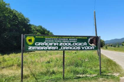 Programul eparhia de tabere „Vacanța din pridvorul bisericii“ în Parohiile Ulmu şi Mohreanu – fotografia 17