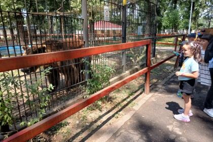 Bucurii de vacanţă pentru copiii din Parohia Scorţaru Vechi, judeţul Brăila – fotografia 8